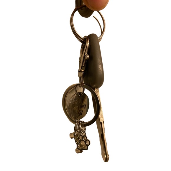 Crazy Dog Lady Lightweight Silver Tone Keychain - Picture 5 of 5